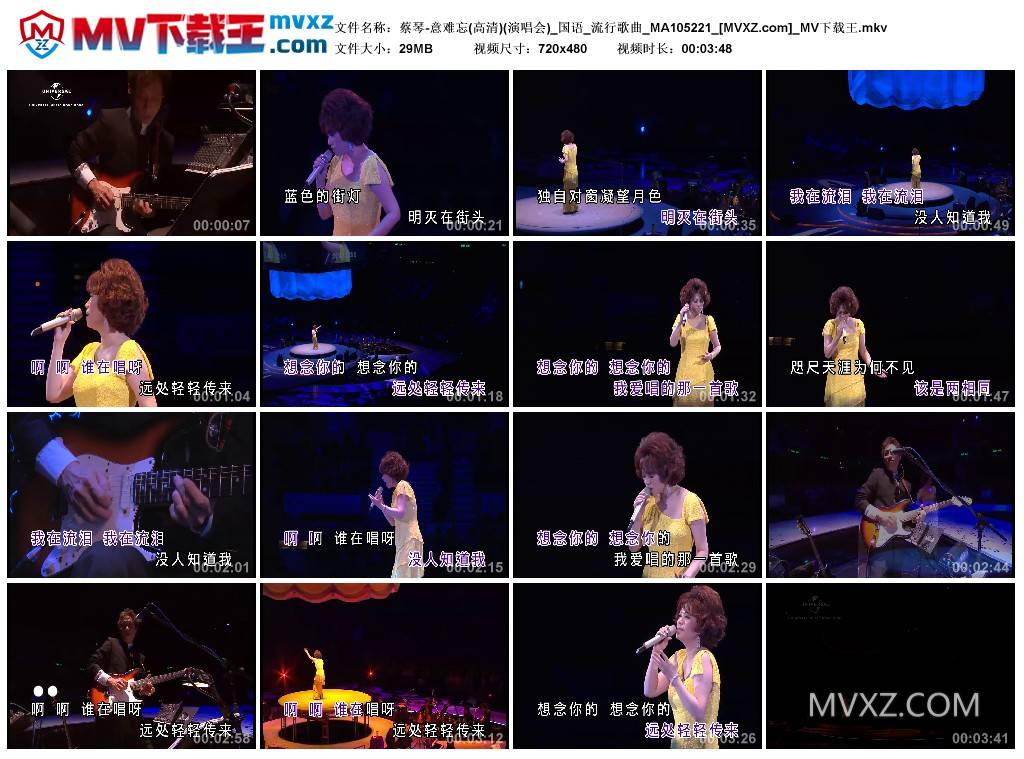 蔡琴-意难忘(高清)(演唱会)_国语_流行歌曲_MA105221